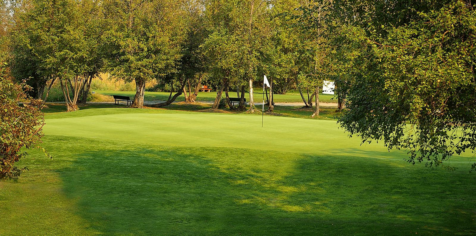 Golfers walking down a fairway